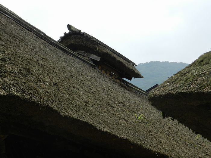 f:id:k9352009:20131015092039j:image
