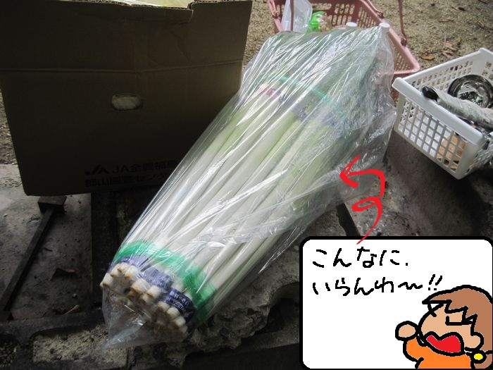 f:id:k9352009:20131022032621j:image f:id:k9352009:20131022032621j:image