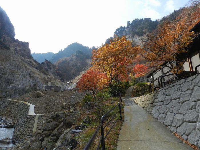 f:id:k9352009:20131031153908j:image