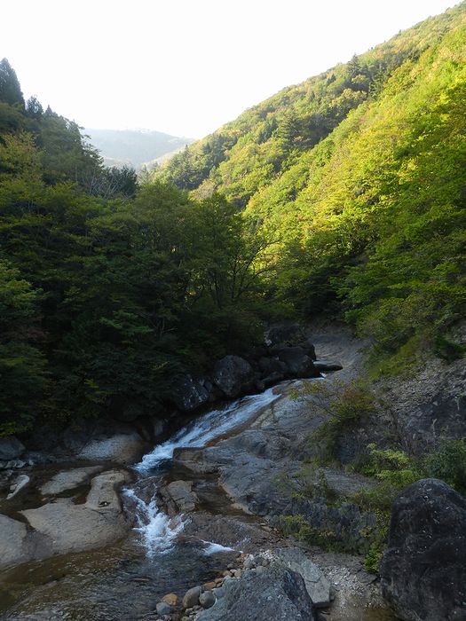 f:id:k9352009:20131105121141j:image