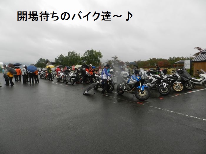 f:id:k9352009:20131112201910j:image