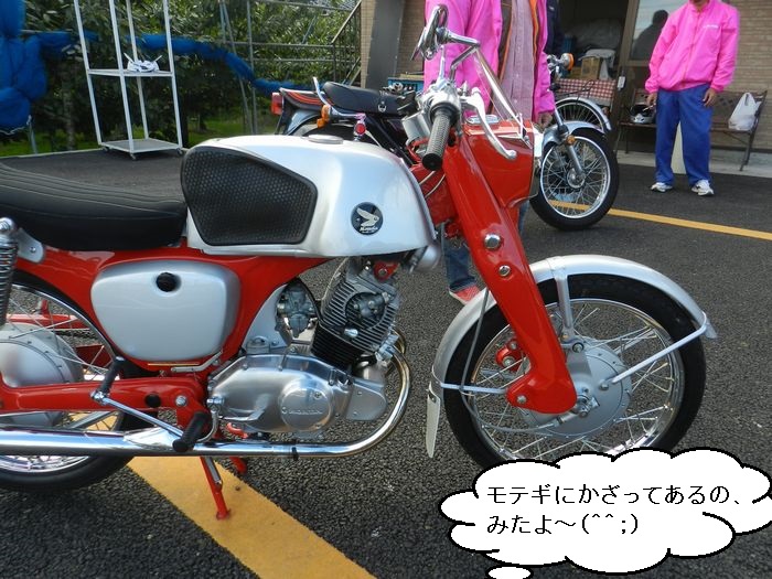 f:id:k9352009:20131119132728j:image