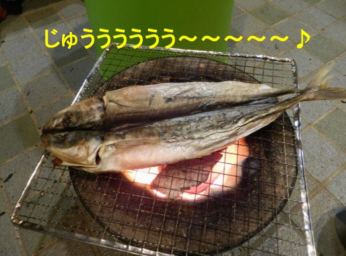 f:id:k9352009:20140106144115j:image