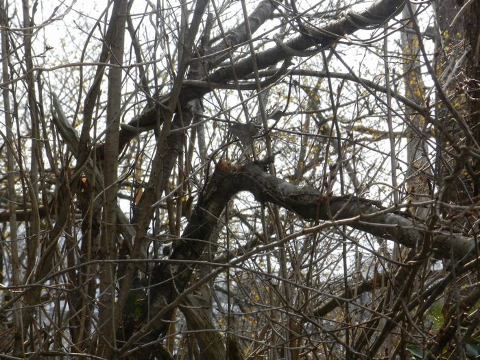 f:id:k9352009:20140315124224j:image