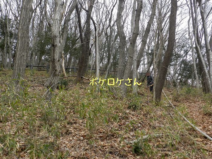 f:id:k9352009:20140328115615j:image