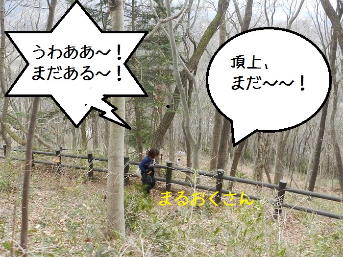 f:id:k9352009:20140328120036j:image