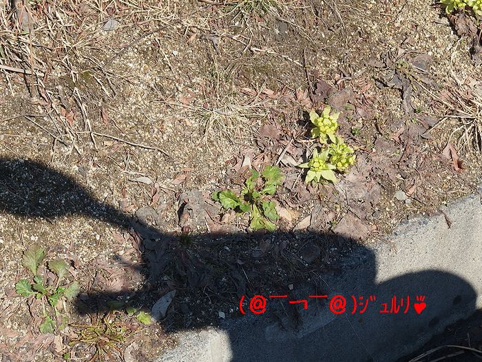 f:id:k9352009:20140402104258j:image