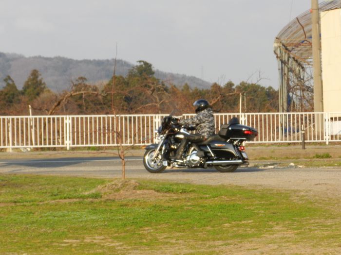 f:id:k9352009:20140403121524j:image