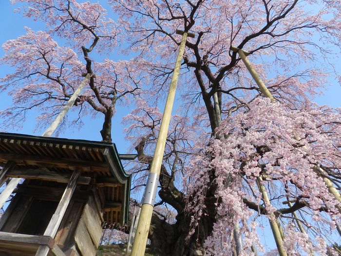 f:id:k9352009:20140418105348j:image