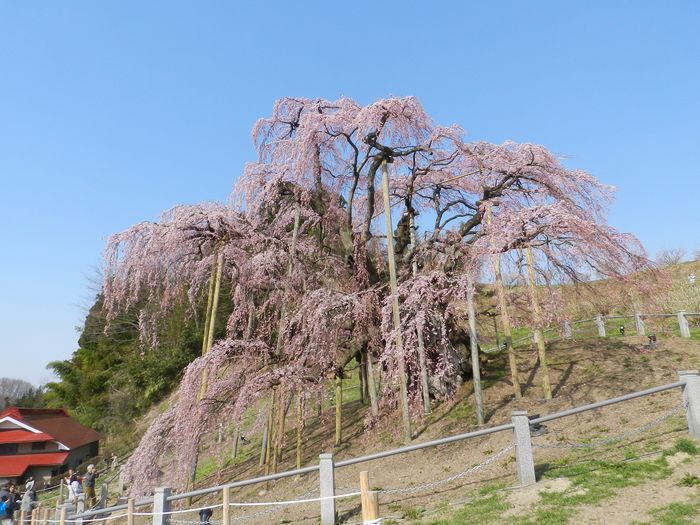 f:id:k9352009:20140418105847j:image