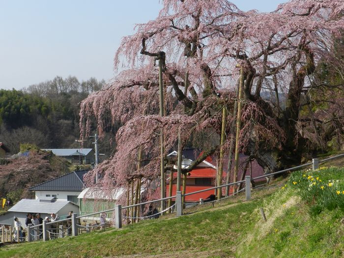 f:id:k9352009:20140418110242j:image