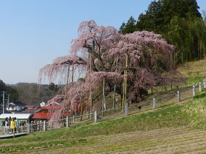 f:id:k9352009:20140418110243j:image