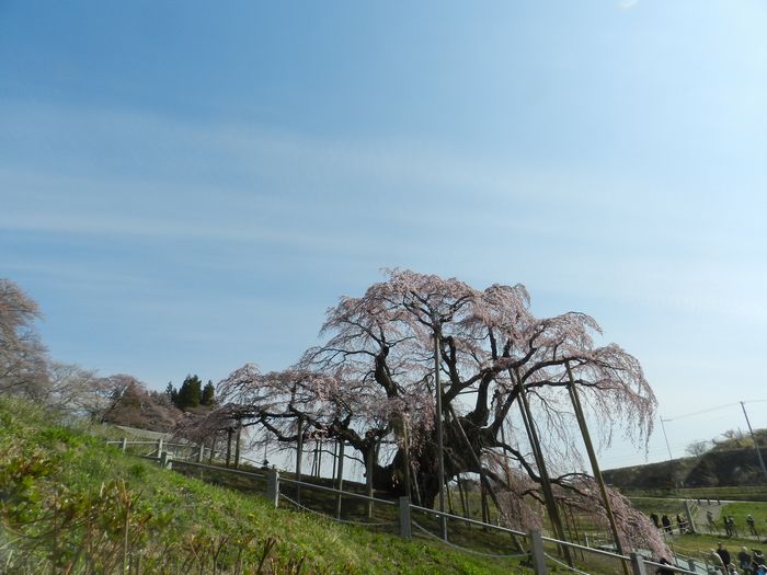 f:id:k9352009:20140418110503j:image