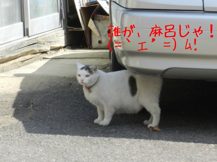 f:id:k9352009:20140418112940j:image