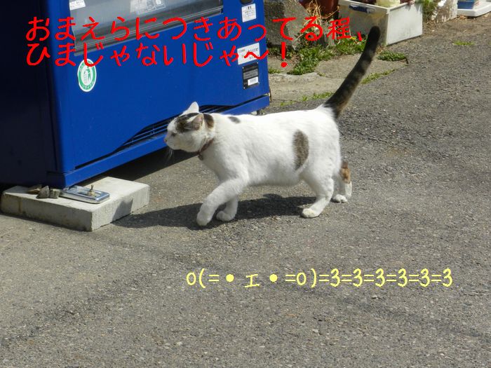 f:id:k9352009:20140418113011j:image