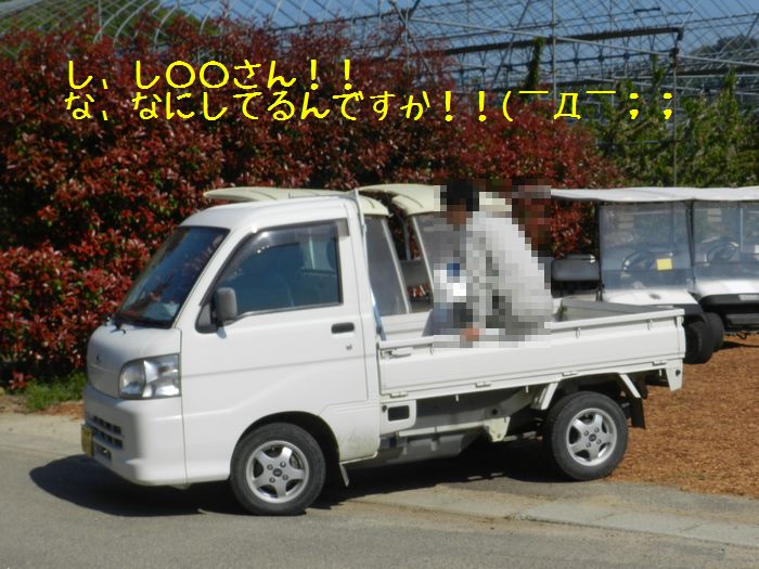 f:id:k9352009:20140514114352j:image