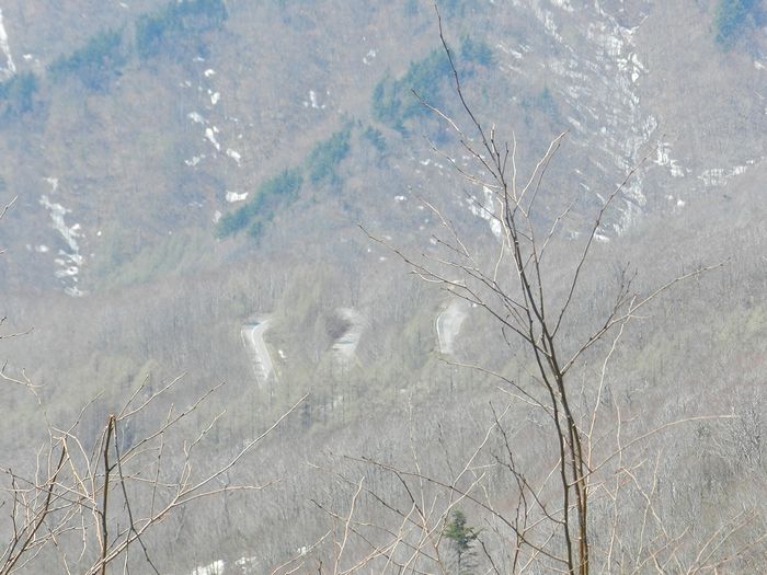f:id:k9352009:20140514121343j:image