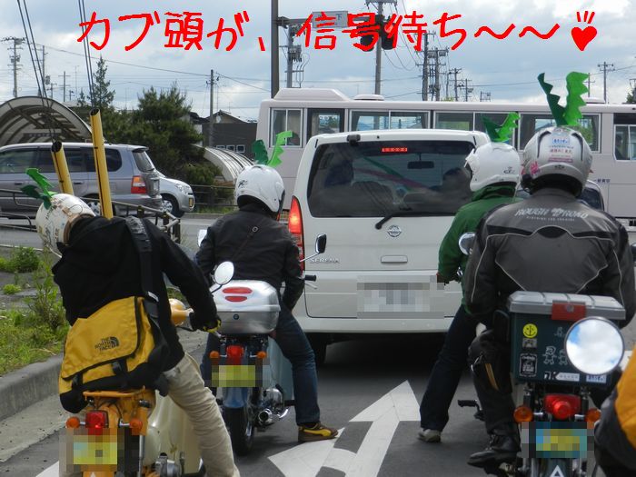 f:id:k9352009:20140520131305j:image f:id:k9352009:20140520131305j:image