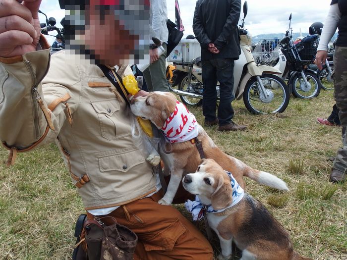 f:id:k9352009:20140522103950j:image f:id:k9352009:20140522103950j:image