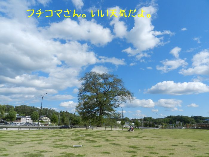 f:id:k9352009:20140523114400j:image