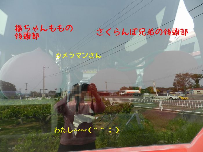 f:id:k9352009:20140529160752j:image f:id:k9352009:20140529160752j:image