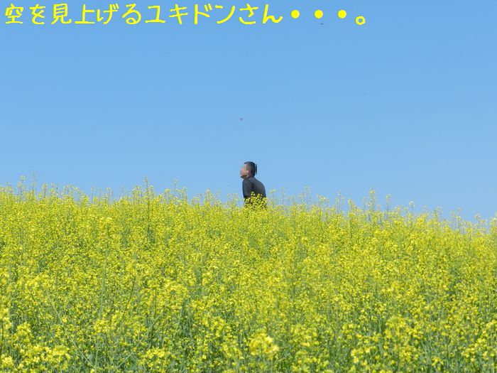 f:id:k9352009:20140531075119j:image f:id:k9352009:20140531075119j:image