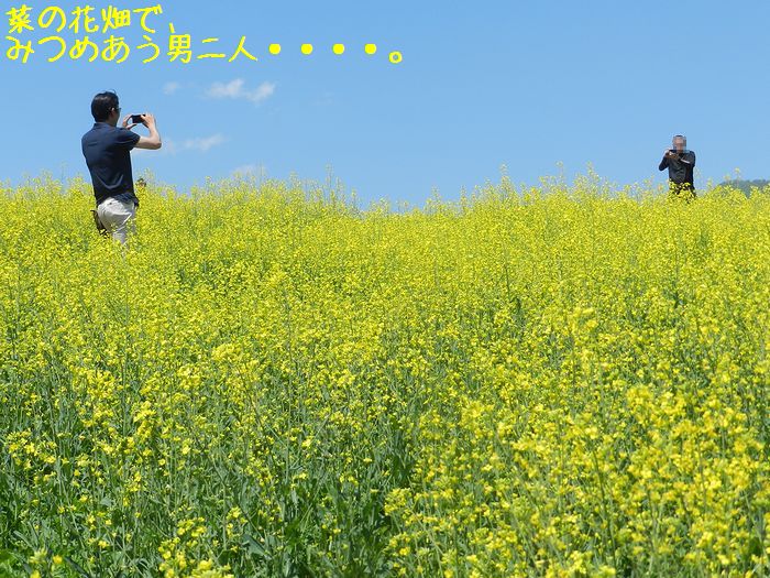 f:id:k9352009:20140531075213j:image f:id:k9352009:20140531075213j:image