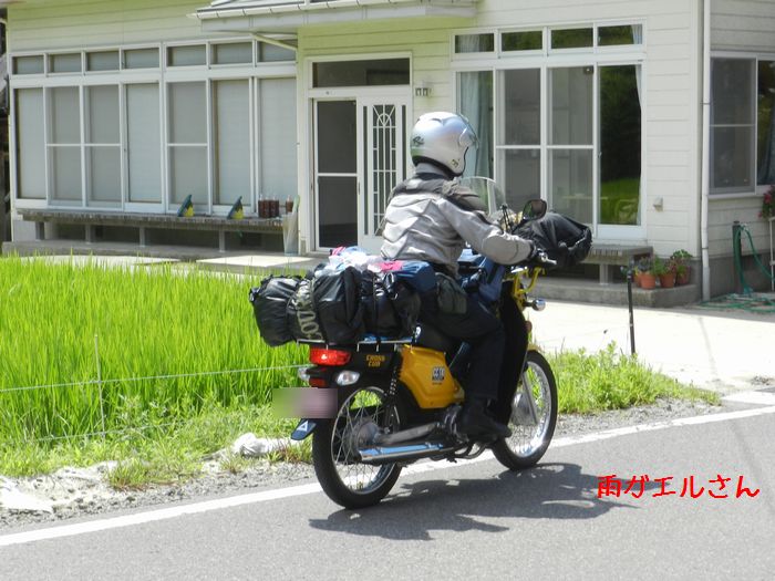 f:id:k9352009:20140811114117j:image f:id:k9352009:20140811114117j:image