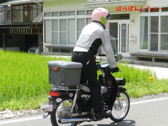 f:id:k9352009:20140811114311j:image f:id:k9352009:20140811114311j:image
