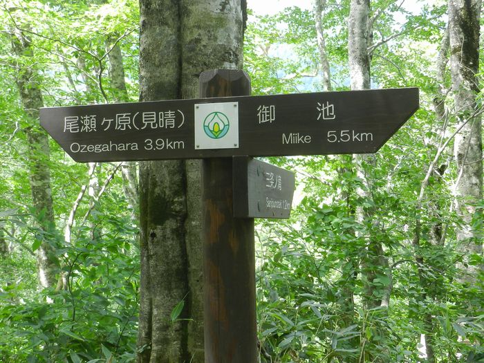 f:id:k9352009:20140829135055j:image