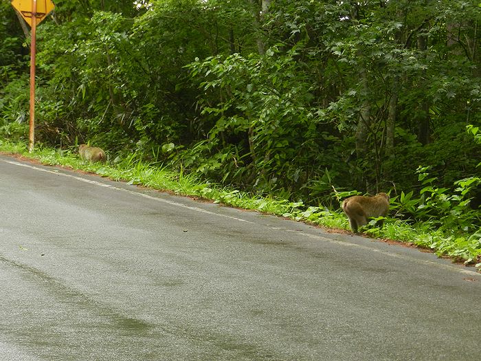 f:id:k9352009:20140902090556j:image