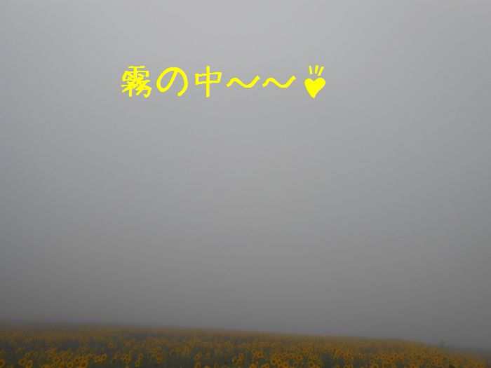 f:id:k9352009:20140908190711j:image