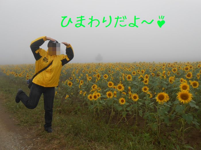 f:id:k9352009:20140908190814j:image