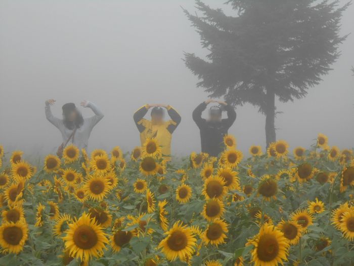 f:id:k9352009:20140908191024j:image