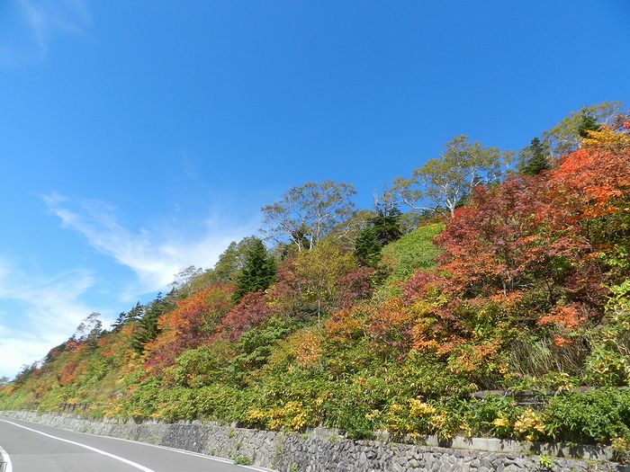 f:id:k9352009:20140926151602j:image