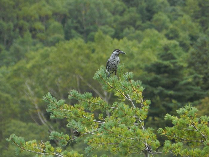 f:id:k9352009:20140930130154j:image