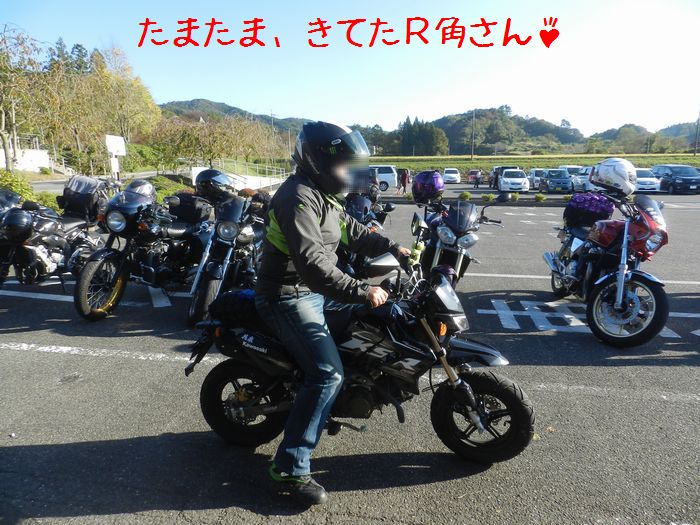 f:id:k9352009:20141101105419j:image f:id:k9352009:20141101105419j:image