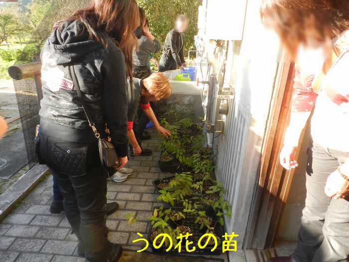 f:id:k9352009:20141101111002j:image f:id:k9352009:20141101111002j:image