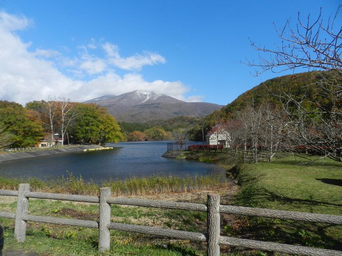 f:id:k9352009:20141110094504j:image