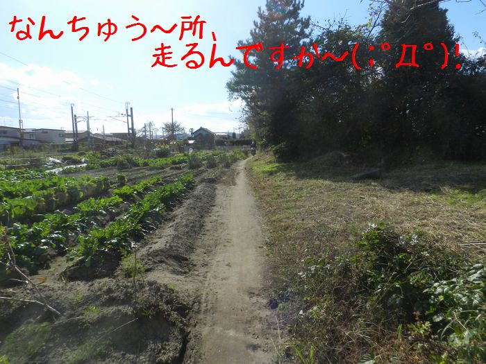 f:id:k9352009:20141110101643j:image