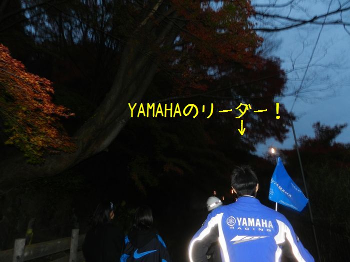 f:id:k9352009:20141114115446j:image
