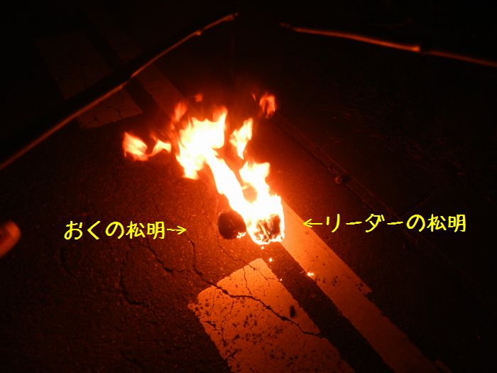 f:id:k9352009:20141114124530j:image