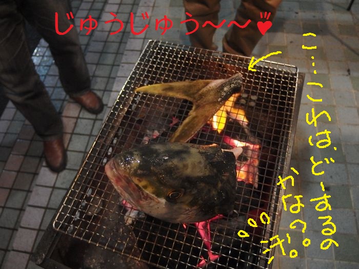 f:id:k9352009:20141120130651j:image