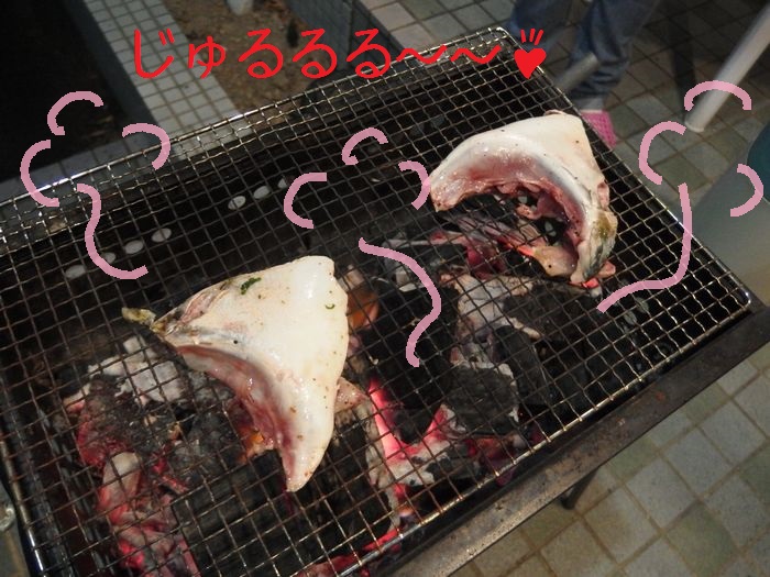 f:id:k9352009:20141120130657j:image