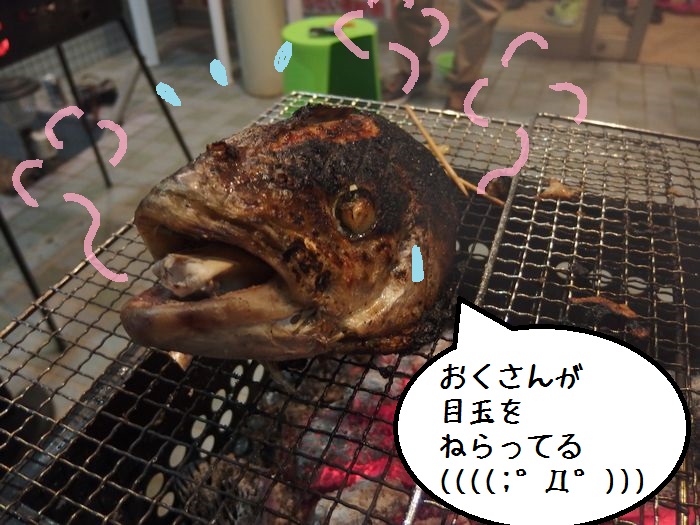 f:id:k9352009:20141120134210j:image