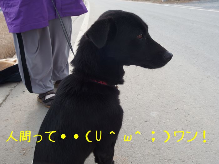f:id:k9352009:20141217133640j:image