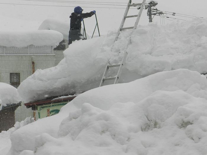 f:id:k9352009:20150113105145j:image