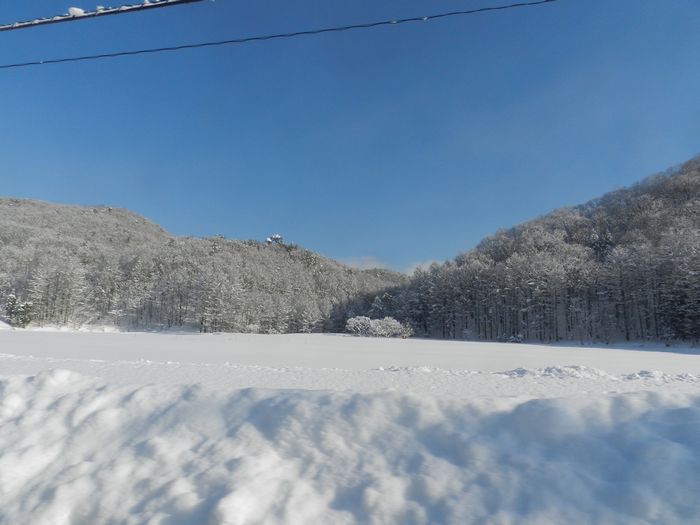 f:id:k9352009:20150116092811j:image