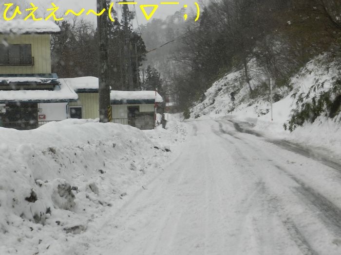 f:id:k9352009:20150203123811j:image
