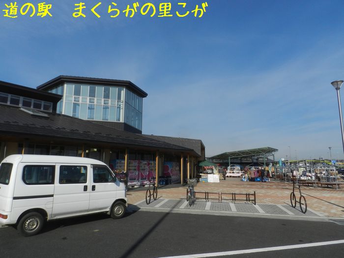 f:id:k9352009:20150210131721j:image